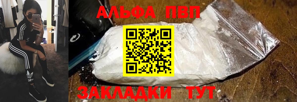 A PVP СК КРИС Сургут