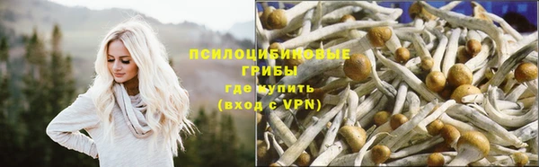 ALPHA PVP Краснотурьинск