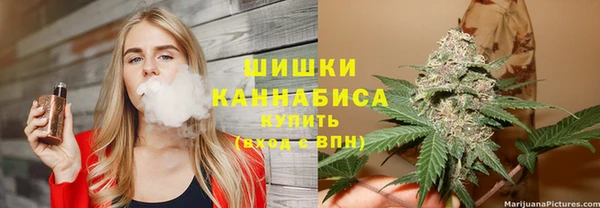 СК Шадринск