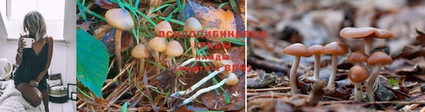 ешки Краснослободск