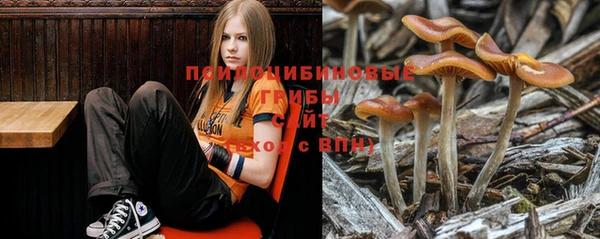 ALPHA PVP Краснотурьинск
