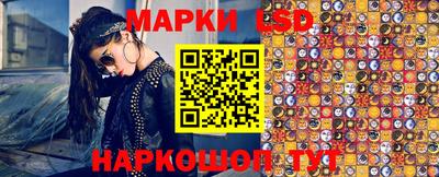дмт Донской