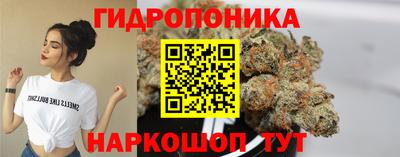 дмт Донской