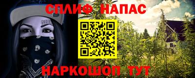 дмт Донской