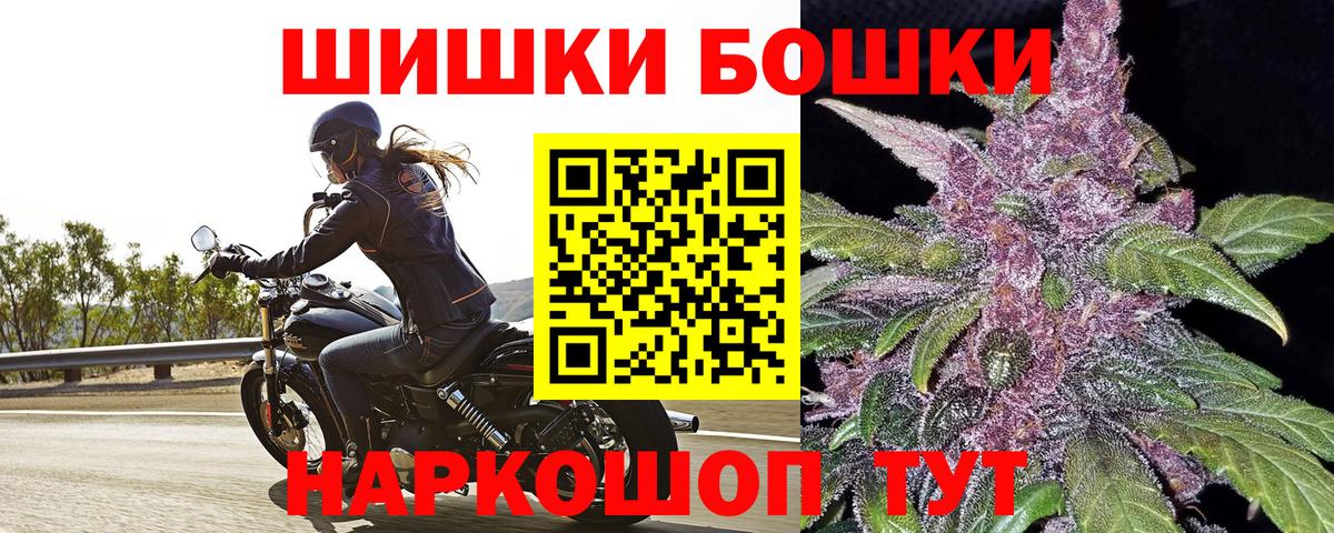 Каннабис OG Kush Сургут
